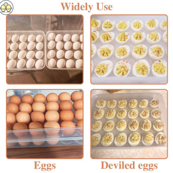 Anyumocz 2 Pack Covered Egg Holder Clear Egg Holder Storage Container Stackable Plastic Refrigerator Egg Trays For Deviled Egg P