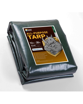 Guard Shield Super Heavy Duty Greensilver Poly Tarp Cover 12X20 Feet Waterproof 16Mil Thick Uv And Tear Resistant Tarpaulin Wit