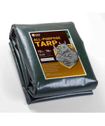 Guard Shield Super Heavy Duty Greensilver Poly Tarp Cover 12X16 Feet Waterproof 16Mil Thick Uv And Tear Resistant Tarpaulin Wit