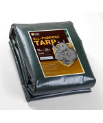 Guard Shield Super Heavy Duty Greensilver Poly Tarp Cover 16X20 Feet Waterproof 16Mil Thick Uv And Tear Resistant Tarpaulin Wit