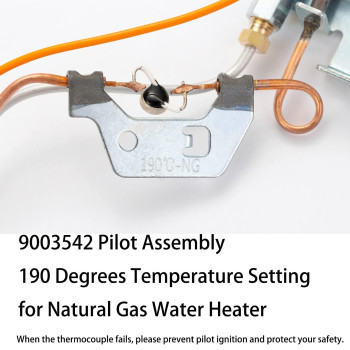 9003542 Water Heater Pilot Assembly Nat Gas Burner Assembly Replace 100109295 9003542005 18324190 9003530 Compatible With Ao Sm