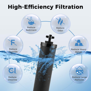 225 Gallon Stainless Steel Gravityfed Water Filter System With Black Activated Carbon Filter And Fluoride Filters For Home Ca