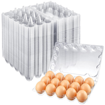 Zubebe 200 Pieces Clear Egg Cartons Plastic Egg Cartons Bulk Empty Chicken Egg Tray Holds Securely Clear Blank Egg Cartons For C