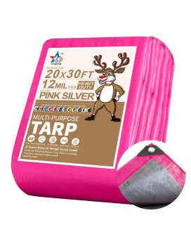 Starpyng12 Mil Pinksilver 20X30 Feet Tarpheavy Duty Poly Tarpcover Waterproof Uv Resistant Weather Resistant Cover Cars