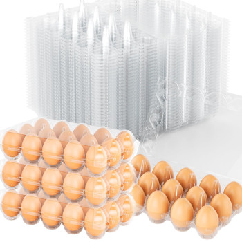 Plastic Egg Cartons 40 Pack Clear Blank Egg Cartons For Fresh Eggs3X5 Grids Reusable Chicken Egg Container Bulk Egg Holders