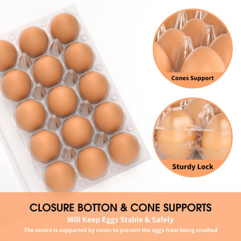 Plastic Egg Cartons 40 Pack Clear Blank Egg Cartons For Fresh Eggs3X5 Grids Reusable Chicken Egg Container Bulk Egg Holders