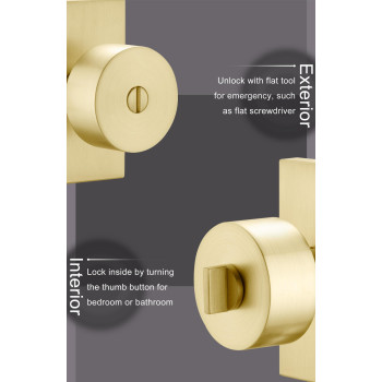 Goldenwarm Gold Door Knobs Interior Zincalloy Heavy Duty Interior Door Knobs Bedroom Brass Door Knobs Brushed Gold Privacy D