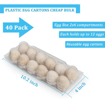 40 Pack Plastic Egg Cartons Cheap Bulk 1 Dozen Clear Empty Egg Cartons For Chicken Eggs 2X6 Grids Reusable Egg Carton For Family