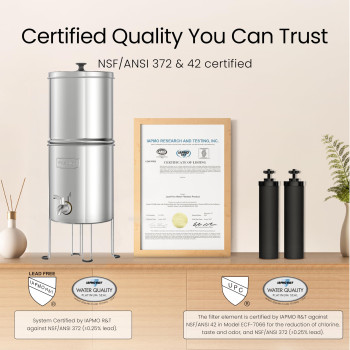 Waterdrop 15 Gallons Gravityfed Water Filter System Nsfansi 42372 Standard Stainlesssteel System With 4 Filters Metal Sp