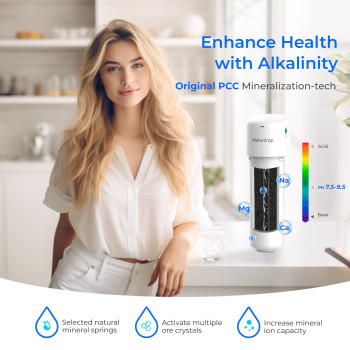 Waterdrop Alkaline Water Filter System For Sink Wdalk16 Alkaline Water Filter 95 Ph Mineralization Nsfansi 372 Certified A