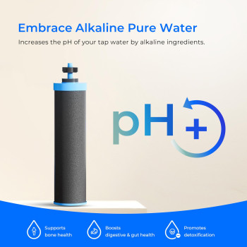 Waterdrop Gravityfed Water Filter System Increase Ph Reduces Lead And Up To 99 Of Chlorine With 2 Black Ca