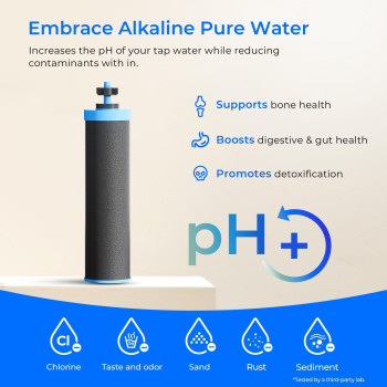 Waterdrop Gravityfed Water Filter System Increase Ph Reduces Fluoride And Up To 99 Of Chlorine With 4 Filt