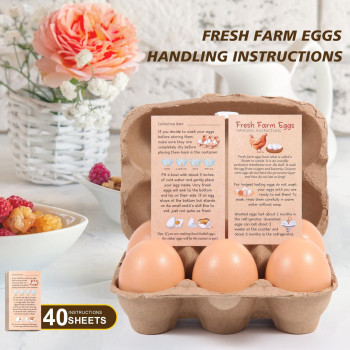 40 Pack Half Dozen Egg Cartons Bulk 6 Count Empty Natural Paper Pulp Egg Cartons Reusable Strong Sturdy Design Made From Natur