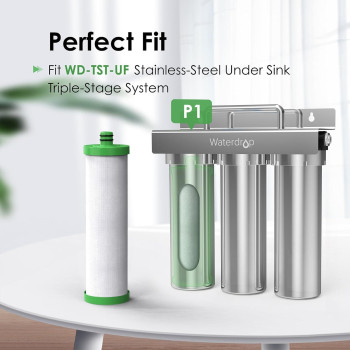 Waterdrop P1 Under Sink Pp Water Filter Replacement For Tstuf Ultrafiltration Under Sink Water Filter System Pack Of 2