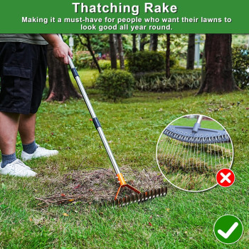 Millionhome Thatch Rake 15Inch Wide Dethatcher Rake With Doublesided Thickening Tines Dethatching Rake With Stainless Steel H