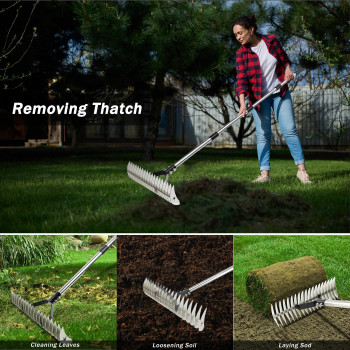 Thatch Rake Thatching Rake For Lawns Heavy Duty Metal Dethatching Rake With Stainless Steel Handle Yard Garden Rake For Clean