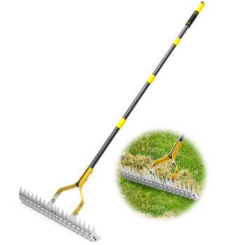 Thatch Rake 15Inch Wide Lawn Thatching Rake For Cleaning Dead Grass 584 Ft Robust Dethatcher Rake Efficient Metal Rake With