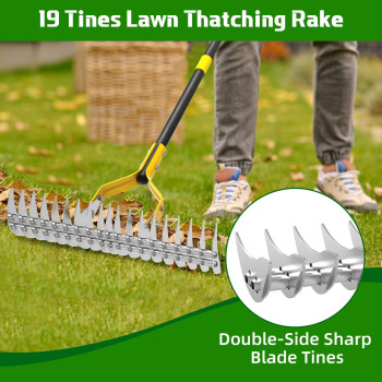 Thatch Rake 15Inch Wide Lawn Thatching Rake For Cleaning Dead Grass 584 Ft Robust Dethatcher Rake Efficient Metal Rake With