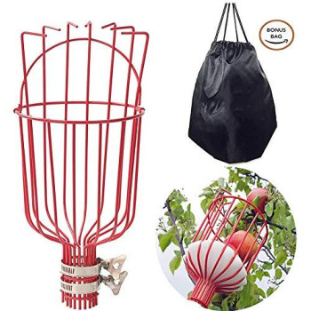 Coconut Fruit Picker Tool Fruit Picker With Basket And Pole Easy To Assemble Use Fruits Catcher Tree Picker For Getting Fruit