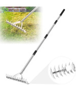 62 Thatch Rake 15Inch Lawn Thatching Rake With Adjustable Handle 11 Curved Steel Tines Doublesided Dethatching Rake For Cl