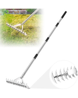 62 Thatch Rake 15Inch Lawn Thatching Rake With Adjustable Handle 11 Curved Steel Tines Doublesided Dethatching Rake For Cl