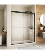 Shower Door