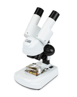 Celestron Stereo Microscope Celestron Labs S20 Ergonomic Binocular Head 20X Magnification