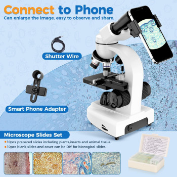 Maxlapter Binocular Microscope 40X1000X Magnification Microscope For Adults And Kids Compound Microscope With Mechanical Stag