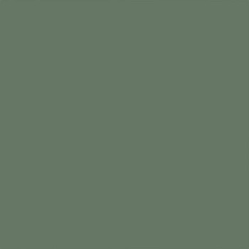 Rustoleum 249094 Painters Touch 2X Ultra Cover 12 Ounce Pack Of 1 Gloss Sage Green