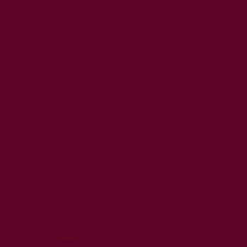 Rustoleum 249863 Painters Touch 2X Ultra Cover 12 Ounce Pack Of 1 Gloss Cranberry