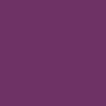 Rustoleum 257419 Painters Touch 2X Ultra Cover 12 Ounce Pack Of 1 Satin Aubergine