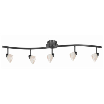 Benjara 5 Light 120V Metal Track Light Fixture With Glass Shade Black And White