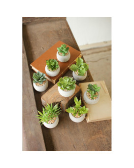 Set Of Eight Small Succulents With Round Cement Pot