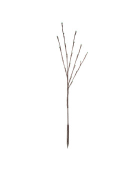 Vickerman 60Lt 3Pc 36 Led Lime Wa Bw Twig Lts X15B633