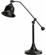 Transitional Bronze Lamp