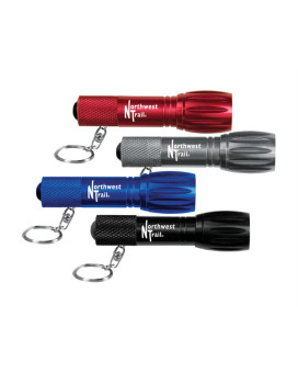 Led Flashlight Keychain Pack Of 16