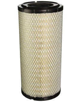 Donaldson P828889 Air Filter, Primary