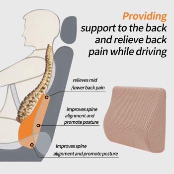 TISHIJIE Memory Foam Lumbar Support Pillow for Car - Mid/Lower Back Support Cushion for Car Seat (Beige)