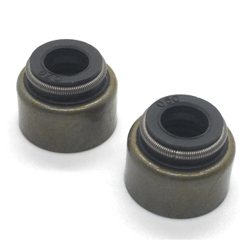 REPLACEMENTKITS.COM Brand Valve Stem Seal Fits (2 Pack) Several Kawasaki FH, FR, FS, FX Series Engines Replaces 92049-7001