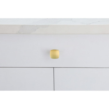 Irvin 13 Brushed Gold Square Knob Multipack Set Of 10