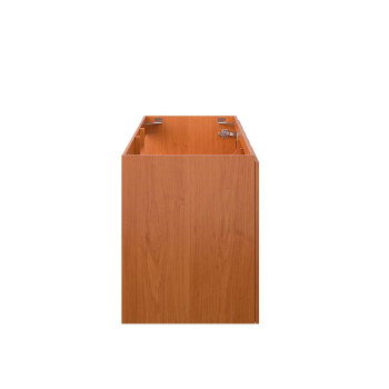 Scenic 48 Single Wallmount Bathroom Vanity Cabinet