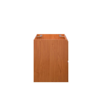 Scenic 24 Wallmount Bathroom Vanity Cabinet