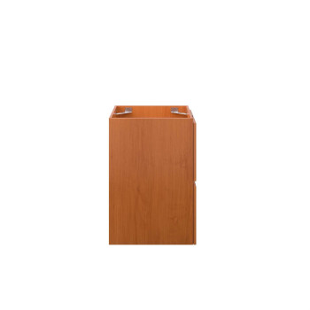 Scenic 18 Wallmount Bathroom Vanity Cabinet