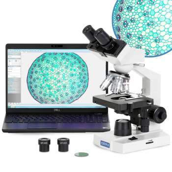 Omax M82E 40X1000X Lab Led Binocular Compound Microscope With Double Layer Mechanical Stage